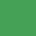 Hintergrundkarton 1,35x11m Chroma green Nr. COL-533